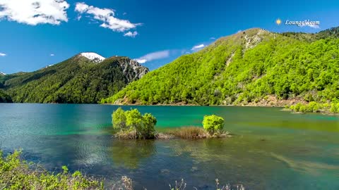 Como el ciervo busca por las aguas - Marcos Witt - 2