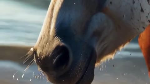 fantastic ai short video animatin with a horse