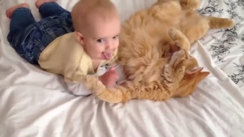 Cat playing with Baby in the Bed