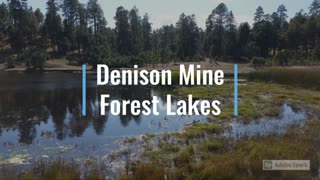 Forest Lakes AZ mining