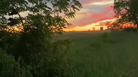 Georgetown farmland sunset