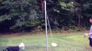 Man plays tetherball with black dog in cone