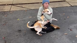 Acrobatic Doggy Does Happy Flips after Seeing Friend Again