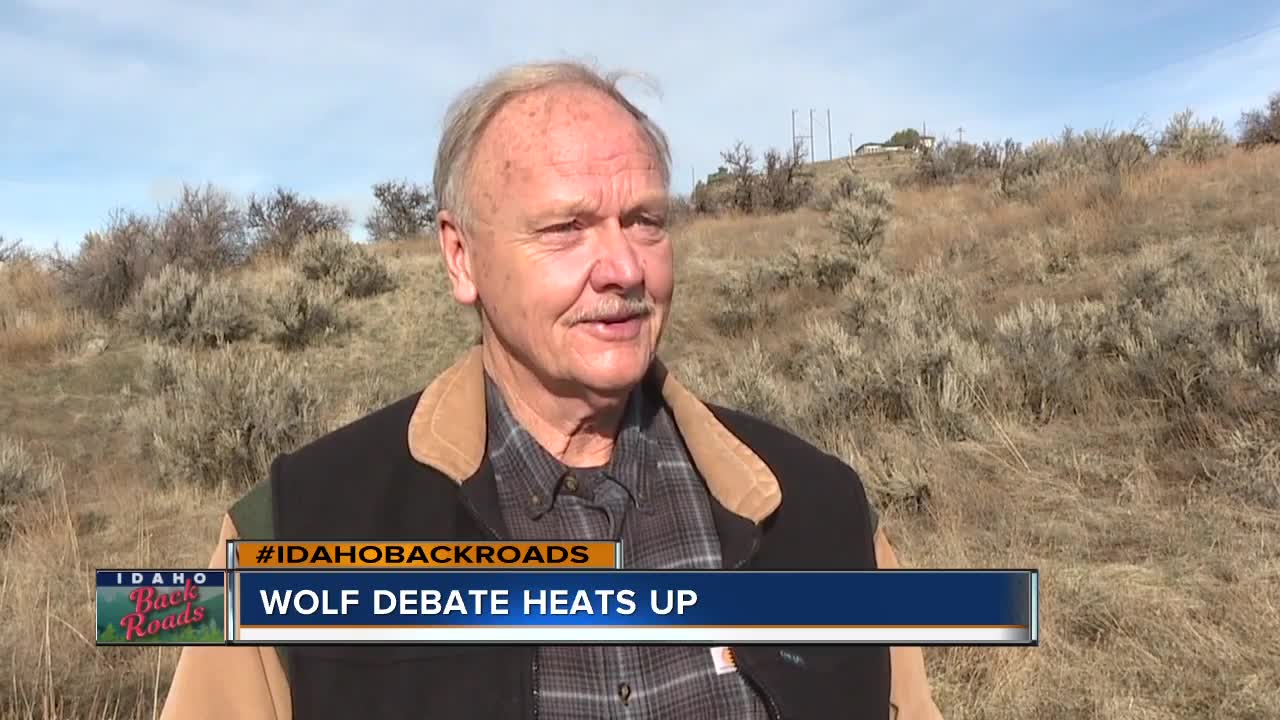 Wolf debate heats up