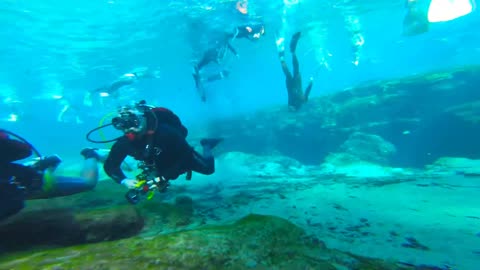 Freediving Ginnie Springs, Florida: Clearest Fresh Water