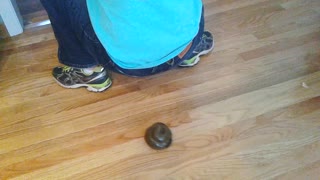 Guy squats in front of remote controlled pile of poop, poop drives away