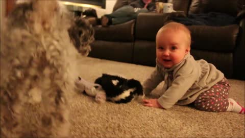 Precious baby tries to steal puppy's toys