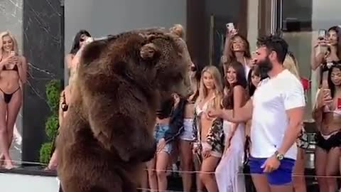 A guy manages to feed a real bear