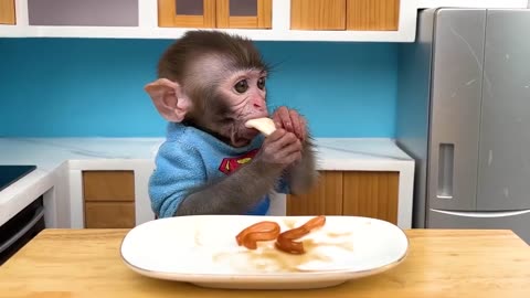 Monkey baby bon bon feeds baby with a bottle and plays with ducklings in the pools