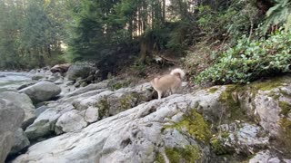 relaxing sound forest river calming sound of fresh running ice water on the cascade falls BC Canada