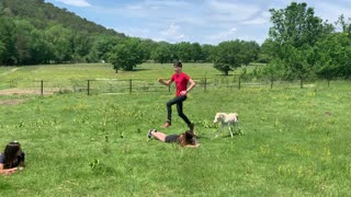 Miniature Horse Uses People as Hurdles