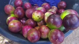 Purple Star Apple