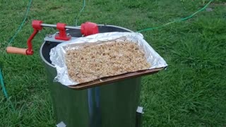 honeybees cleaning up equipment