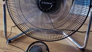 Mama and baby fan