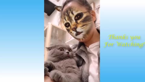 Cute Pets And Funny Animals Compilation #01 💗 Pets Love 💗
