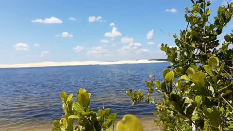 A beautiful view of the lake