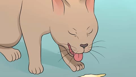 How to help if your cat is depressed