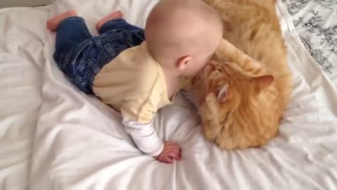 Cats Meeting Babies for the FIRST Time]