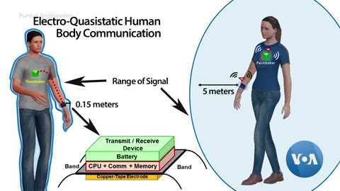 (2019) Your Body: The Network You Didn't Know You Had (WBAN)