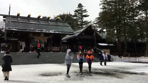 艾文愛旅行 |【日本】札幌景點 - 北海道神宮 4