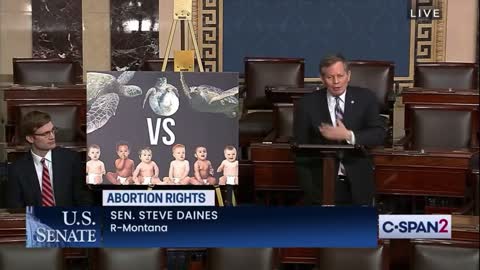 Republican Senator EXPOSES The Hypocrisy Of The Left Wanting To Protect Sea Turtles More Than Humans