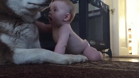 baby and doggy are best of friends