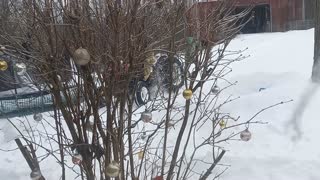 Tractor Stuck in Snow