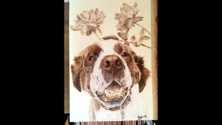 Pyrography Pet Portrait