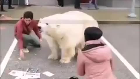 White Bear Comes Alive & Freaks Everyone