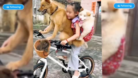 Cute Dogs 😍 with Girls 👭 #cute #cutedog #girls #viral #viralreels #music #rumbletrending