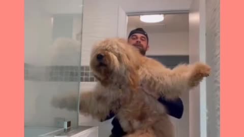 Watch this Dog crazy reaction at bath time!