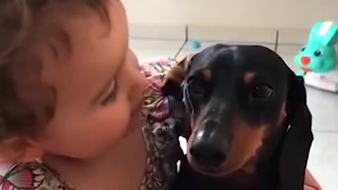 When dogs are babies best friends