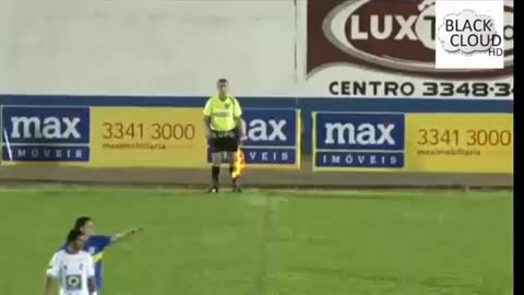 Soccer referee attacked by bird!
