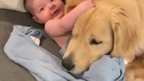 Cute baby and dog 2020