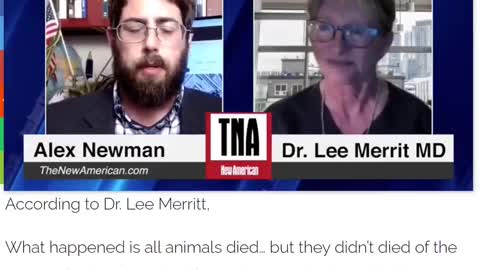 Dr. Lee Merrit Interview on mRNA