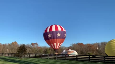 Hot Air Balloons & Red, White and Blue