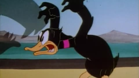 Looney Tunes - A Coy Decoy (1941)