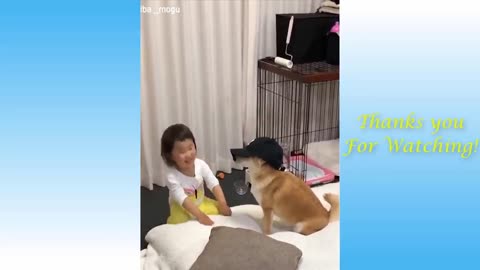 Puppy Dog Video | Funny Video