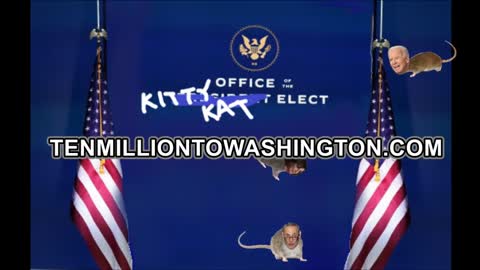 Yet Another Fantastically Important Message from the Kitty Kat Elect