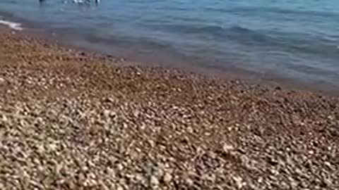 Salad on the beach