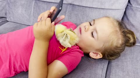 What_Does_a_Baby_Girl_do_When_a_Baby_Chick_Wants_to_Sleep_(Cutest_Ever!!)