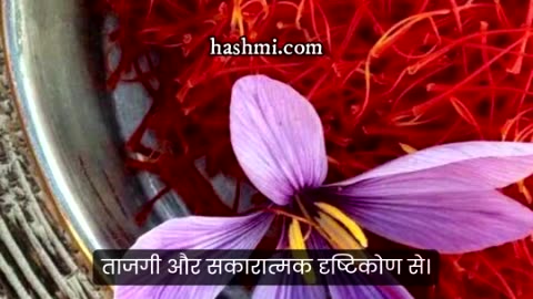 केसर: प्राकृतिक कामोत्तेजक|Saffron: Natural Fetish