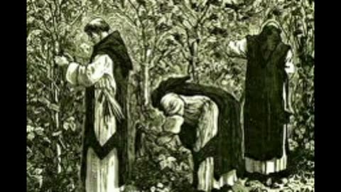 Fr Hewko, Septuagesima Sunday 1/28/24 "Go Ye Also Into My Vineyard" (England) [Audio]