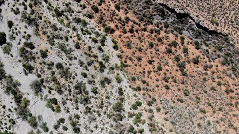 Sahara Desert & Dubai Desert | Drone footage