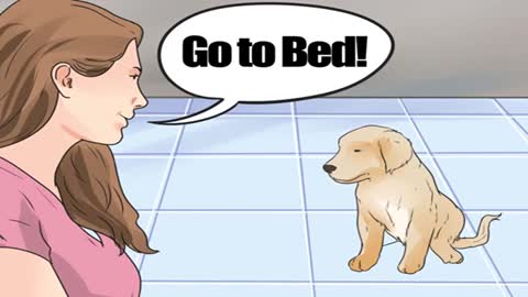 How to make your dog sleep in bed