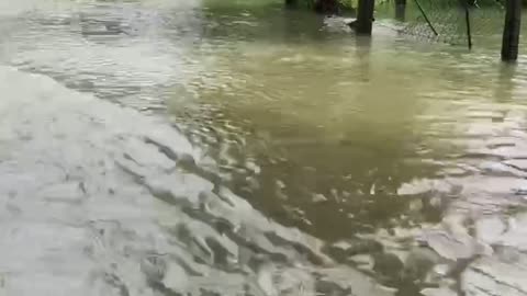 Flood in srilanka