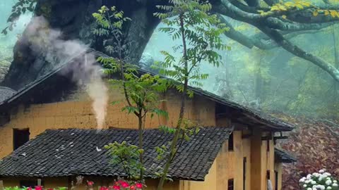 Beautiful Chinese village house