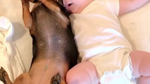 Excited Puppy Snuggles up to Baby