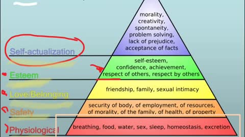 Psychology of Fun (2013) by Professor Castronova