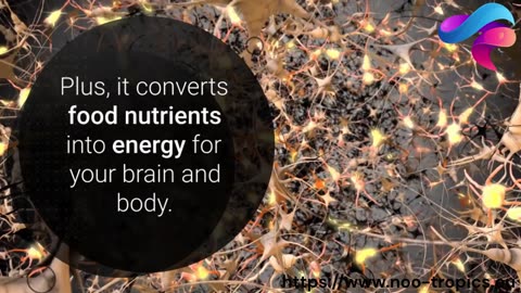Unlocking the Benefits of Vitamin B5: Your Path to Enhanced Health and Brain Function